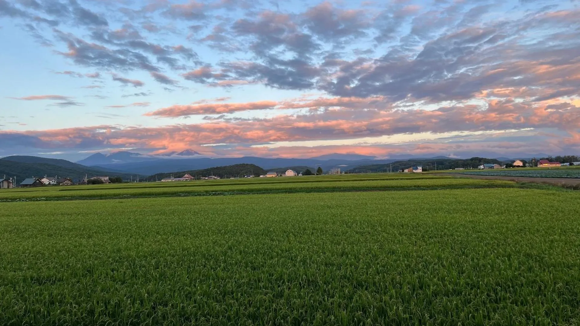 Blooming Villa Higashikawa - Vacation Stay 04416V